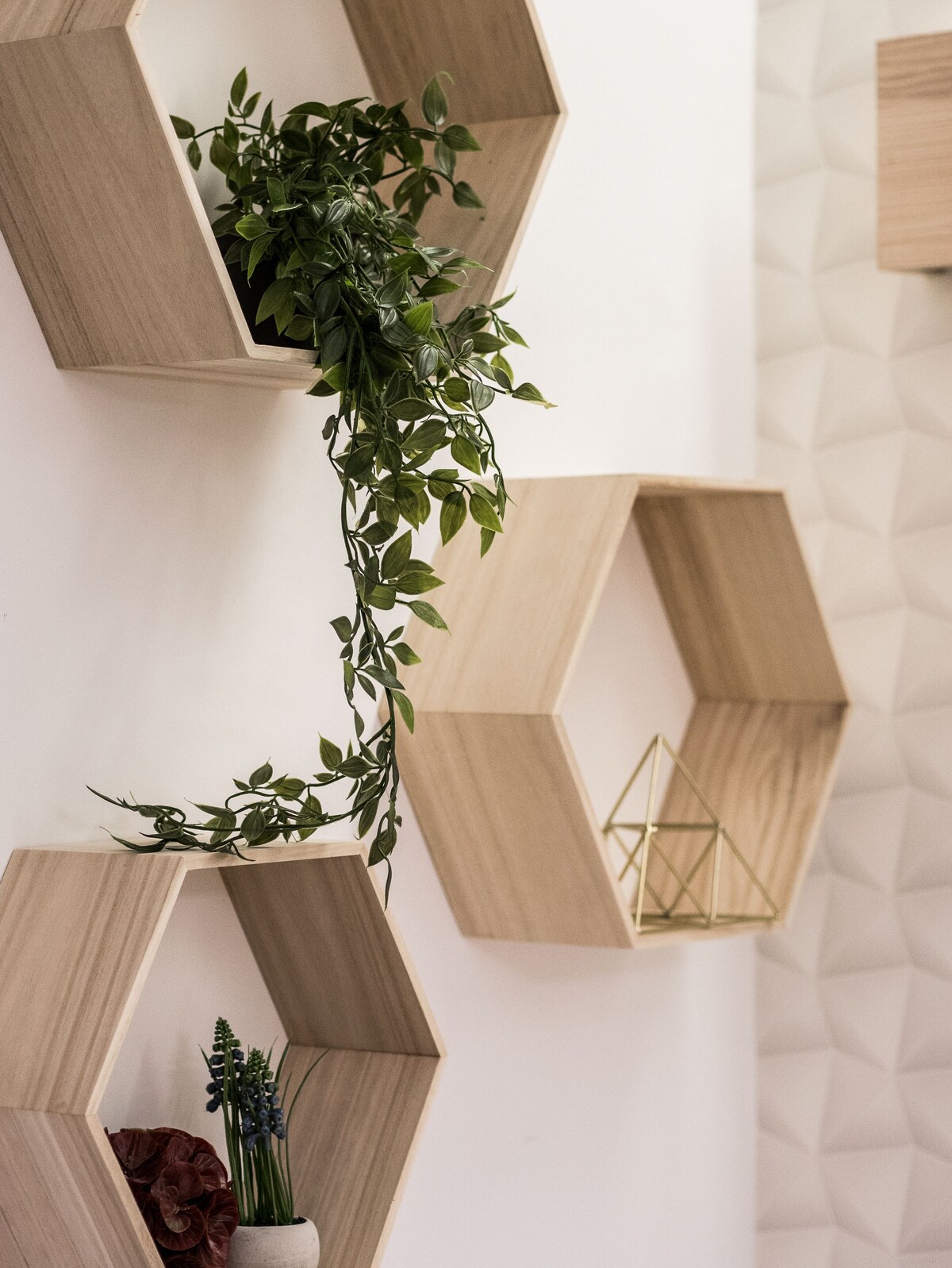 Wooden shelves and plants in the studio